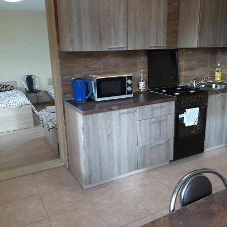 Rooms For Rent Panevėžys 外观 照片